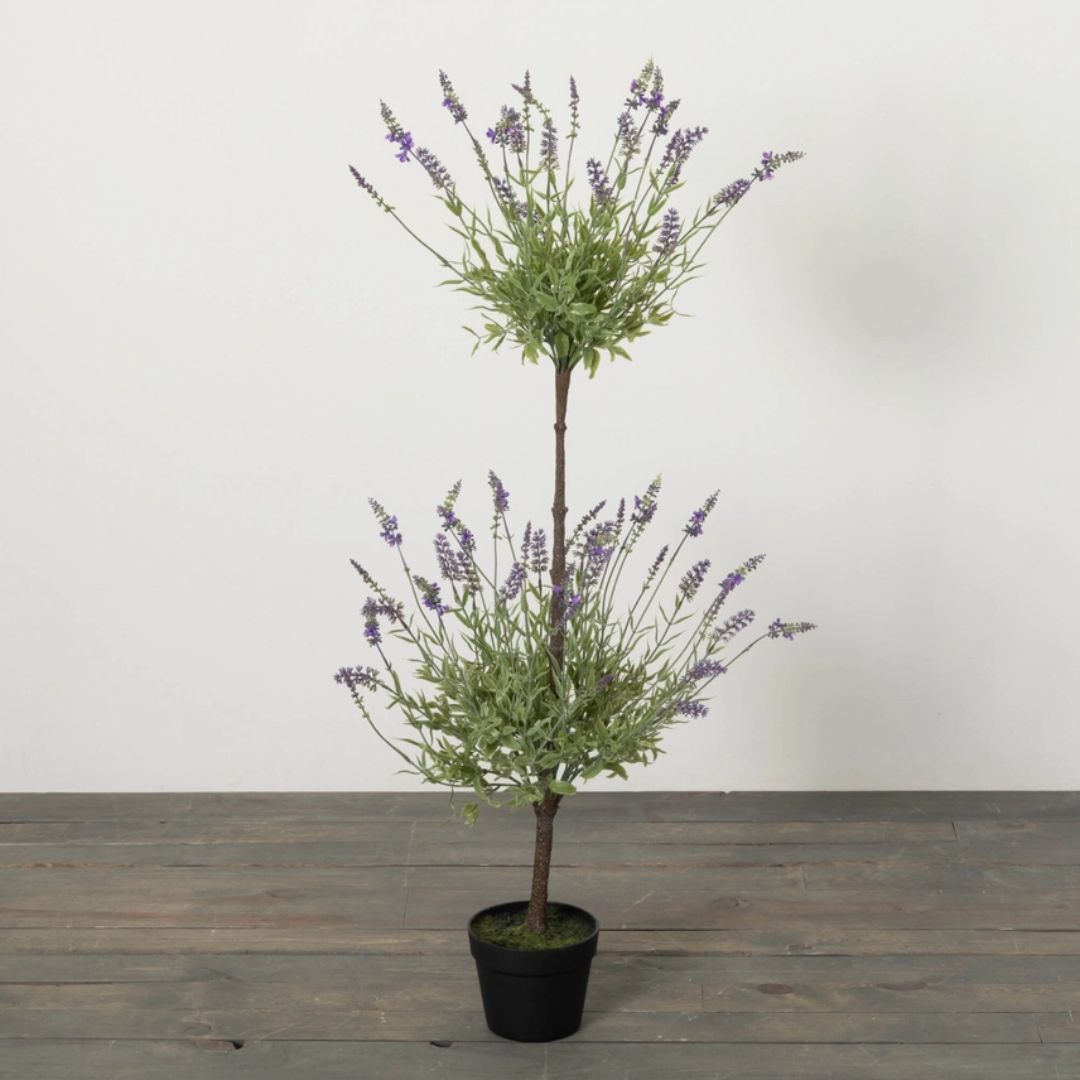Double Lavender Topiary Plant – Cozy Cottage