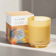 Santal Birch Refillable Candle