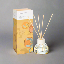 Santal Birch Refillable Diffuser