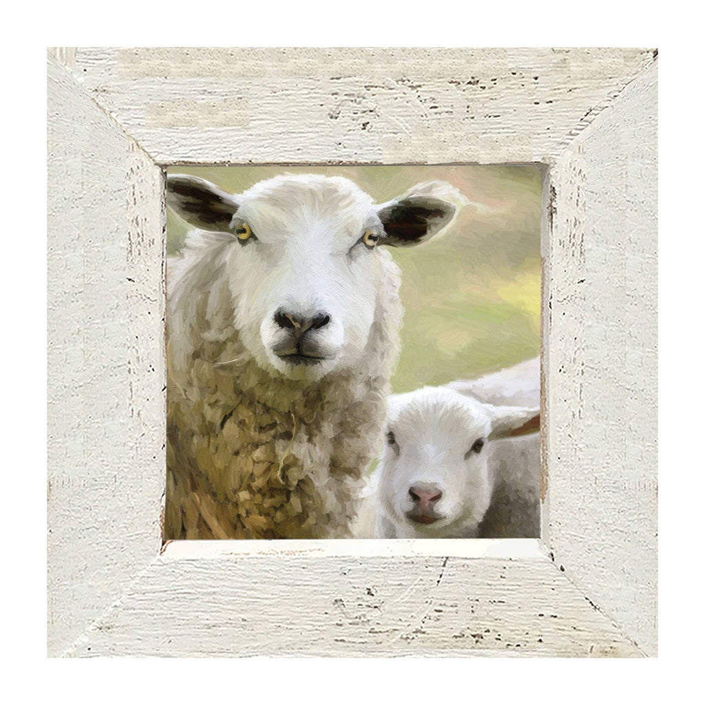 Sheep and Lamb