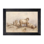 Peaceful sheep - HF