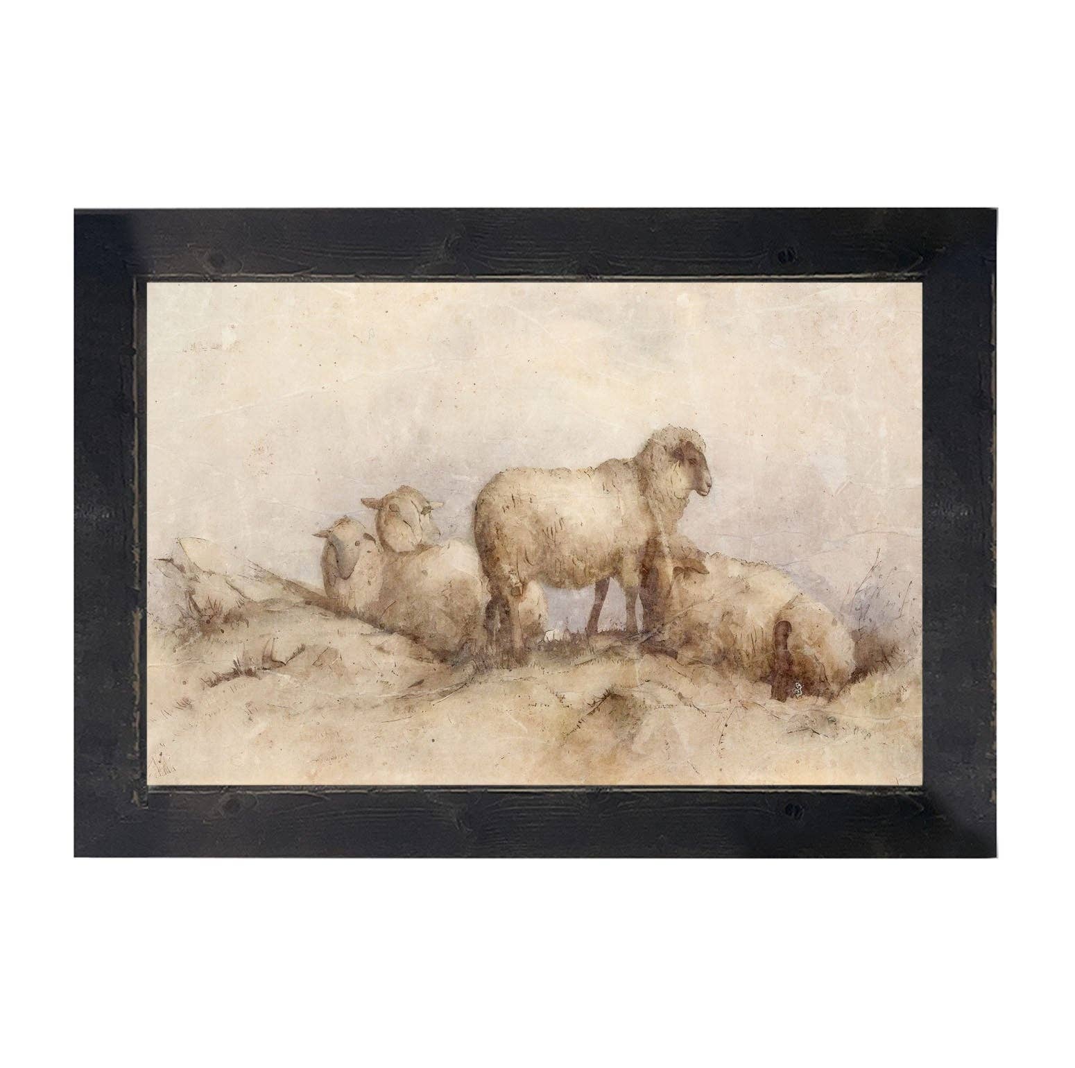 Peaceful sheep - HF