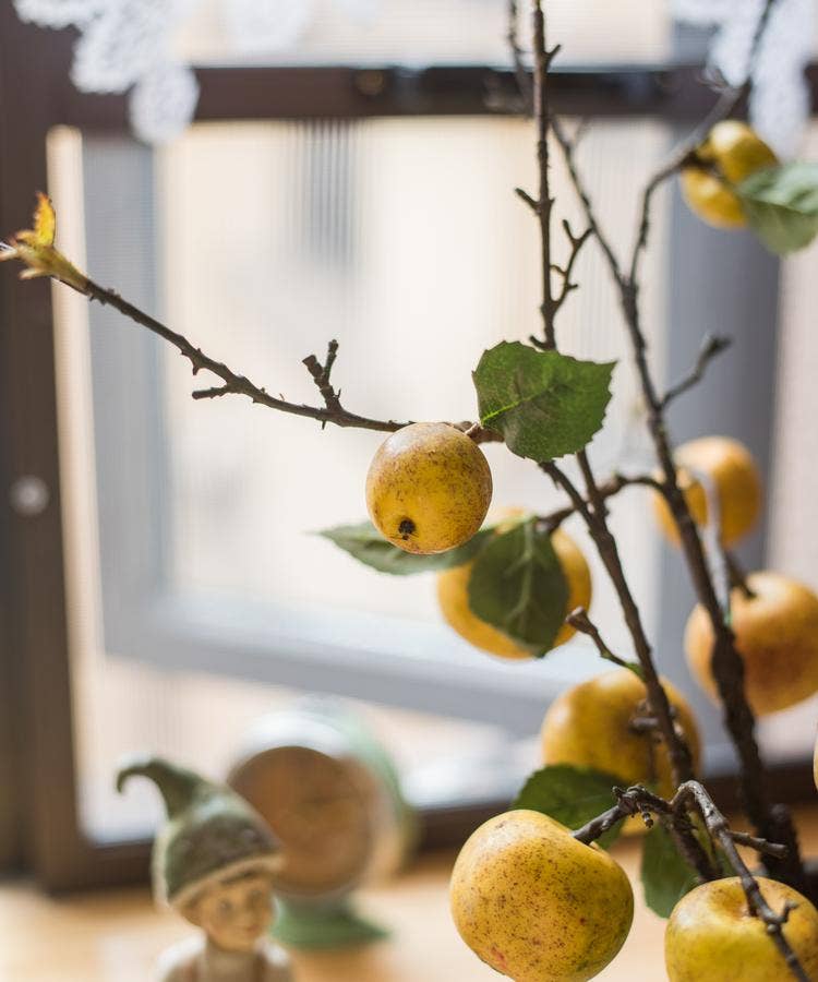 Yellow Apple Pear Stem 27"