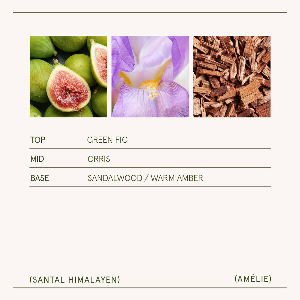 Santal Himalayen - 11oz