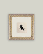 Crow Framed