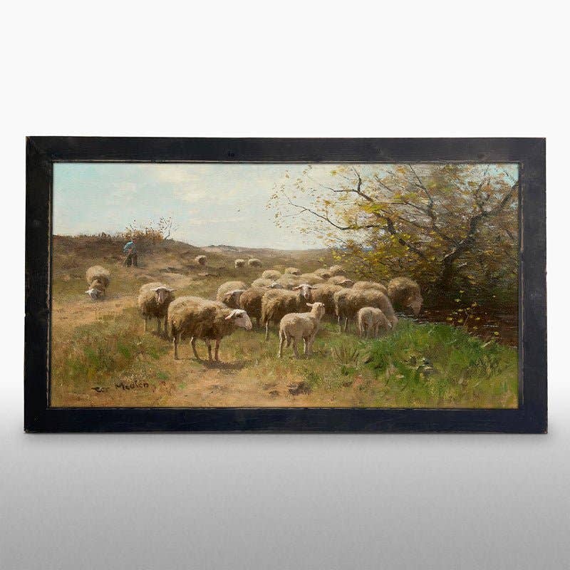 Grazing Sheep