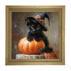 Black Kitten with Pumpkin