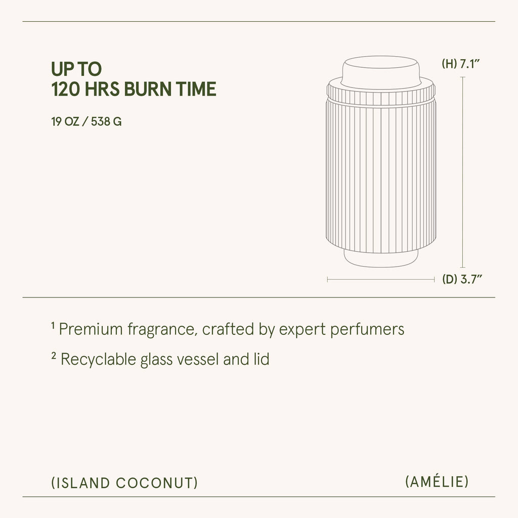 Island Coconut - 19oz