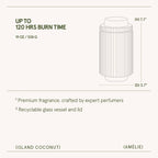 Island Coconut - 19oz