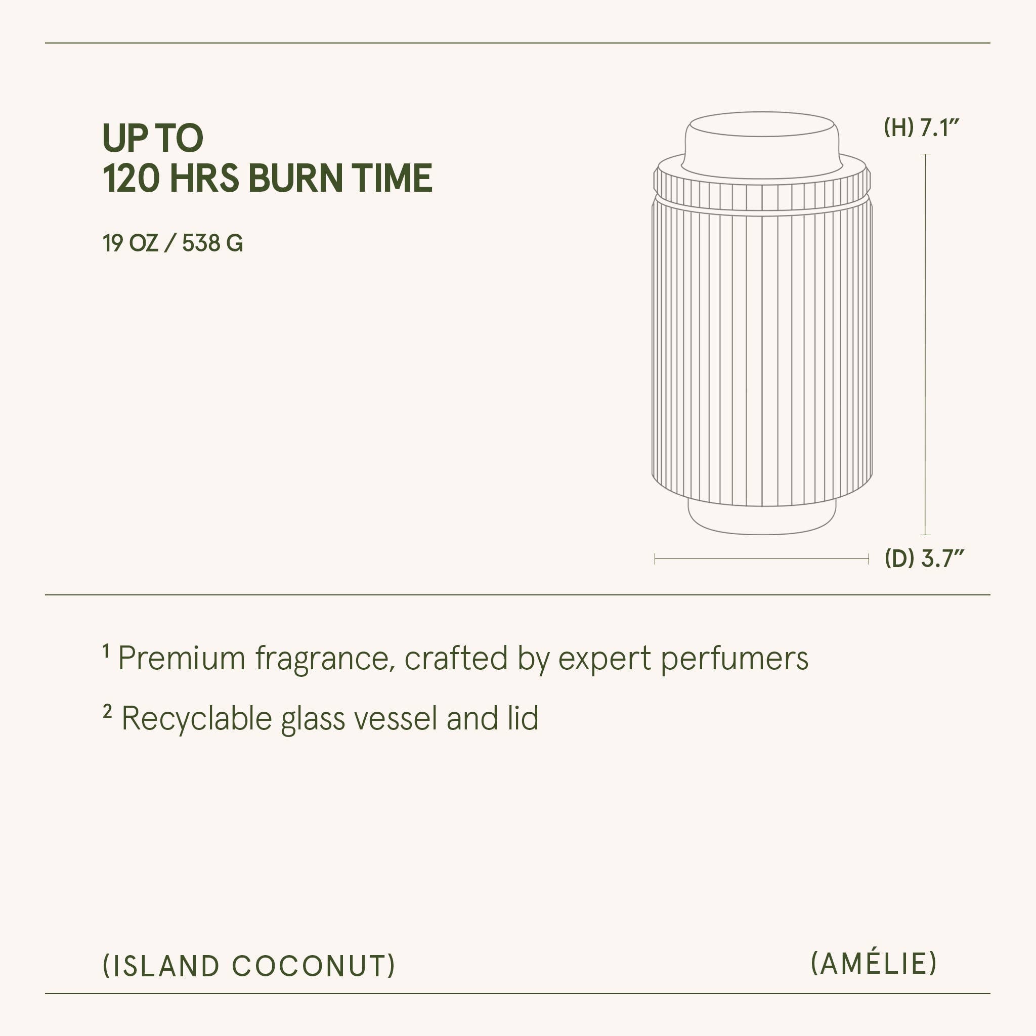 Island Coconut - 19oz