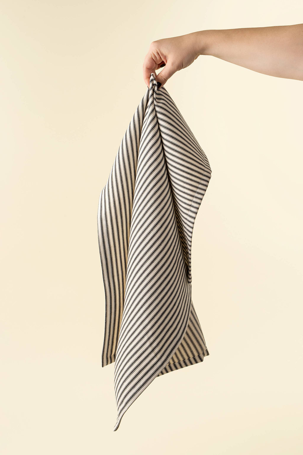 Black Ticking Tea Towels S/2