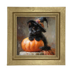Black Kitten with Pumpkin