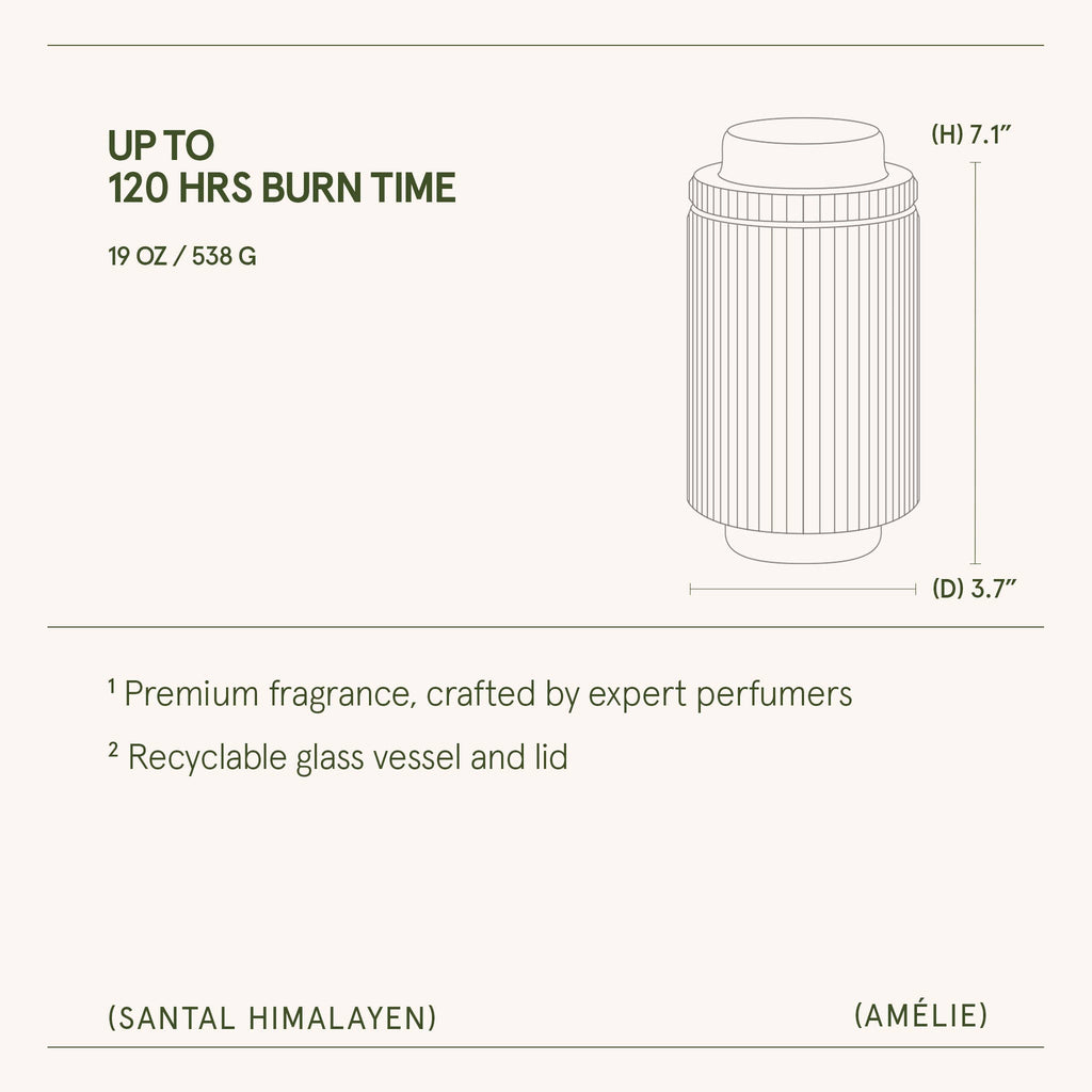 Santal Himalayen - 19oz