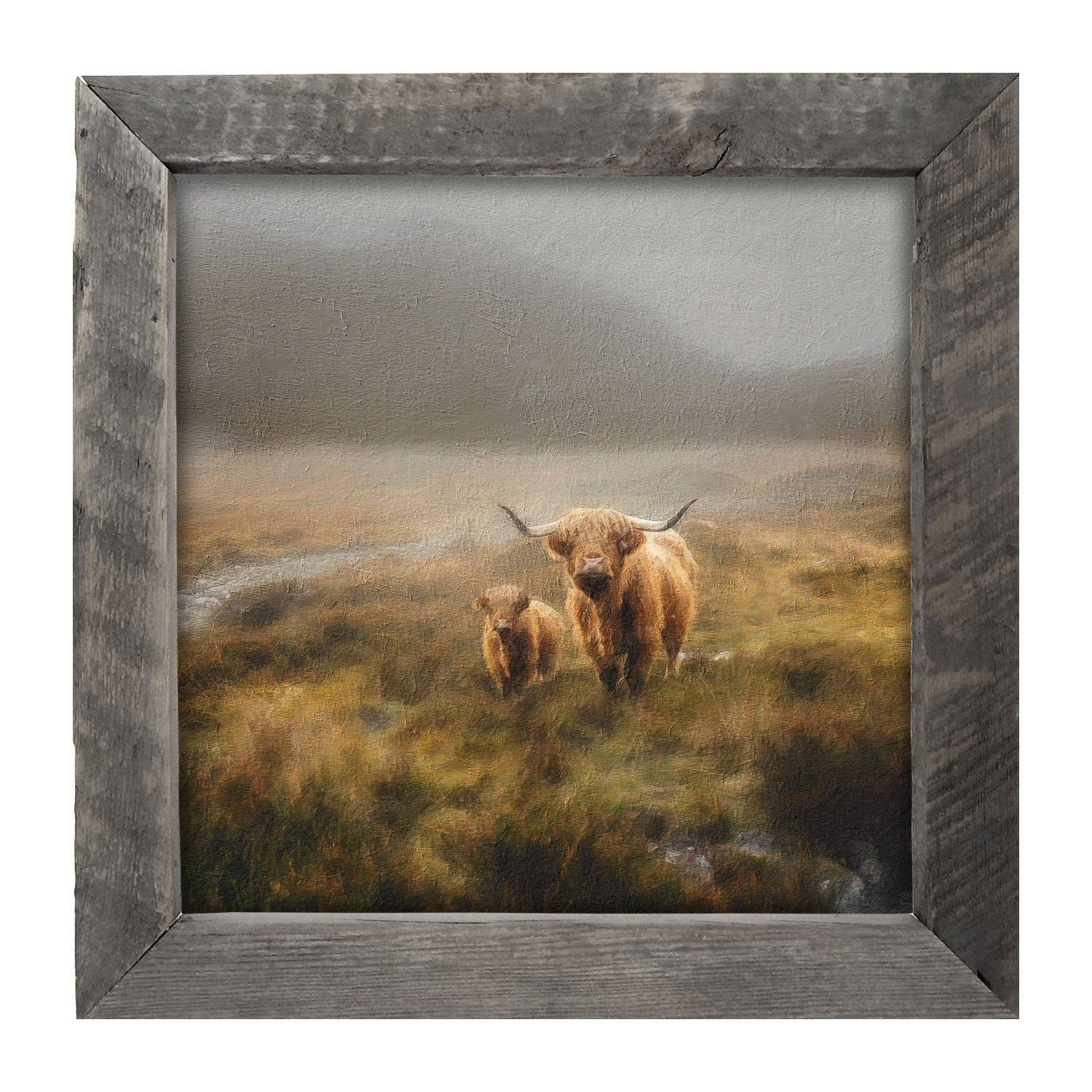 Highland Cows in field: Natural / Large