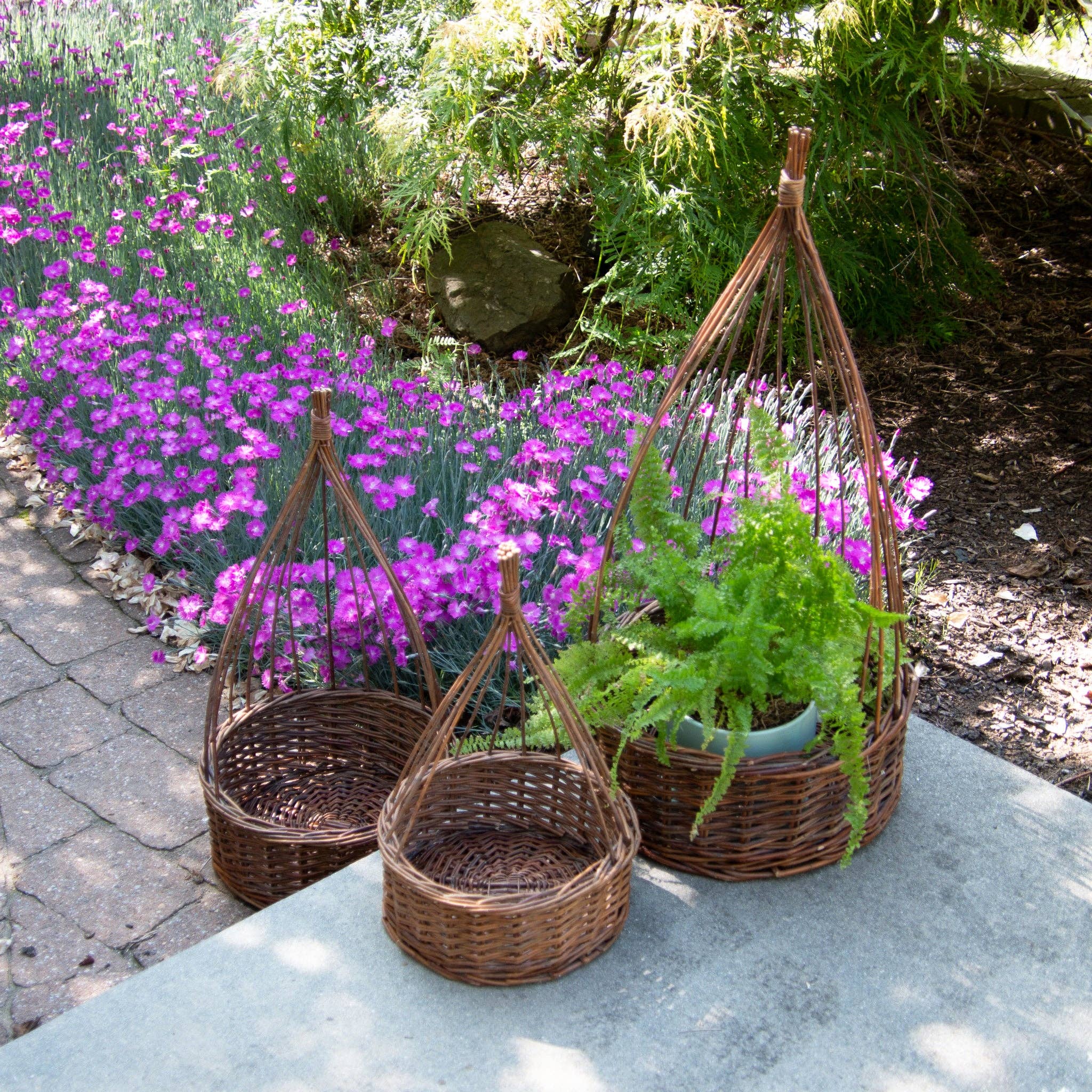 Willow Obelisk Planter - Lg