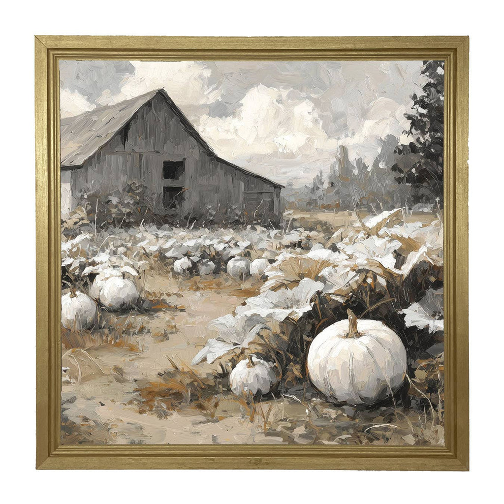 White Pumpkins in Field