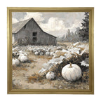 White Pumpkins in Field