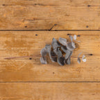 14" Blue Eucalyptus Spray