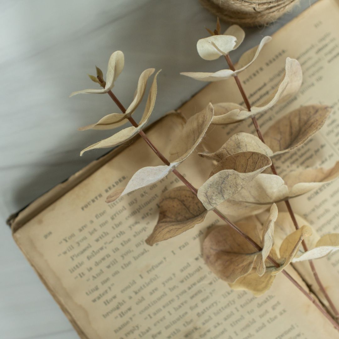 14" Pale Green Eucalyptus Spray