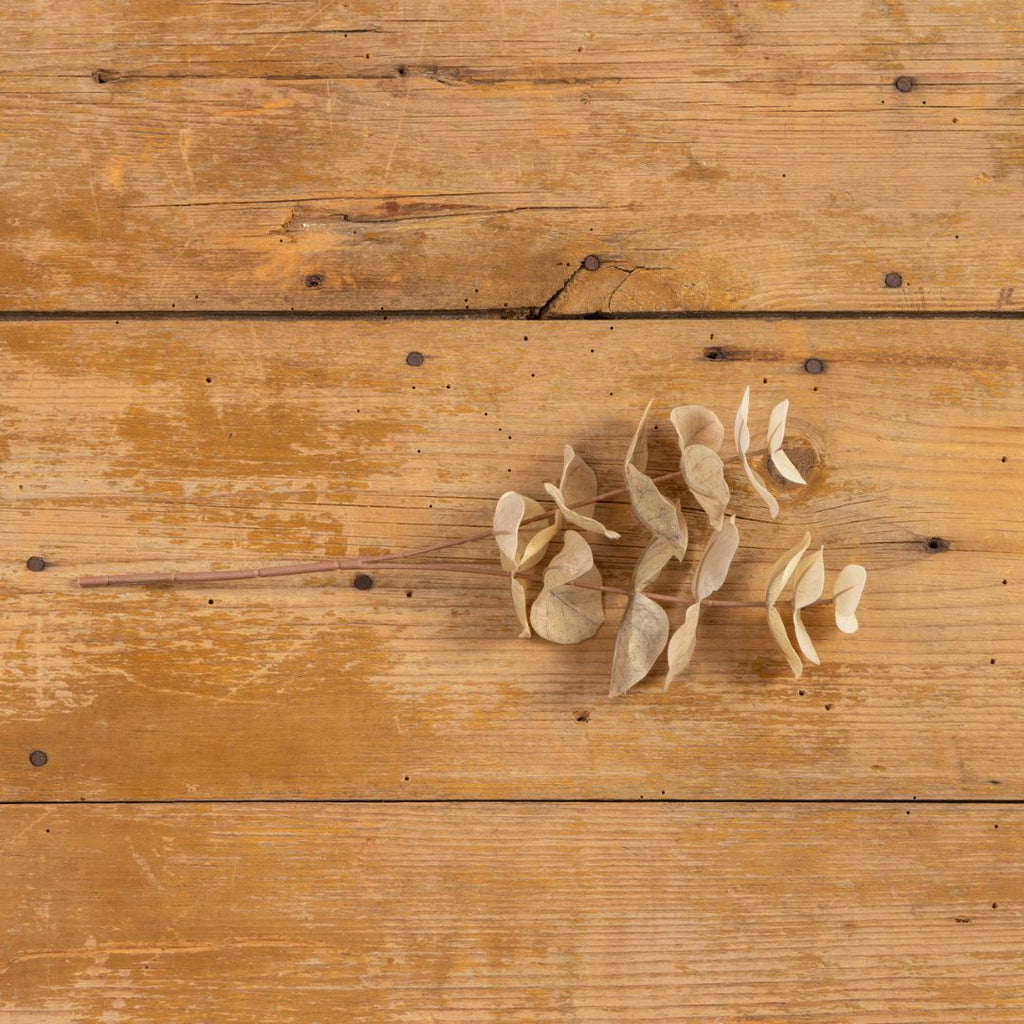 14" Pale Green Eucalyptus Spray