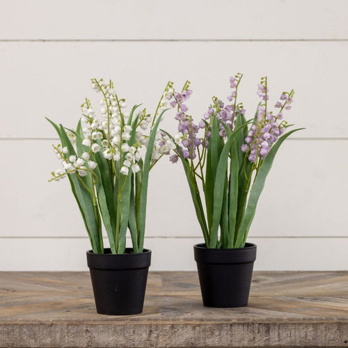 14" Potted White Bellflower Decor