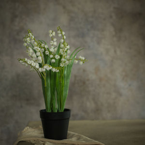 14" Potted White Bellflower Decor