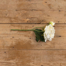 15" Cream Peony Bloom Spray Decor