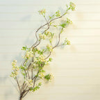 Arabian Jasmine Branch