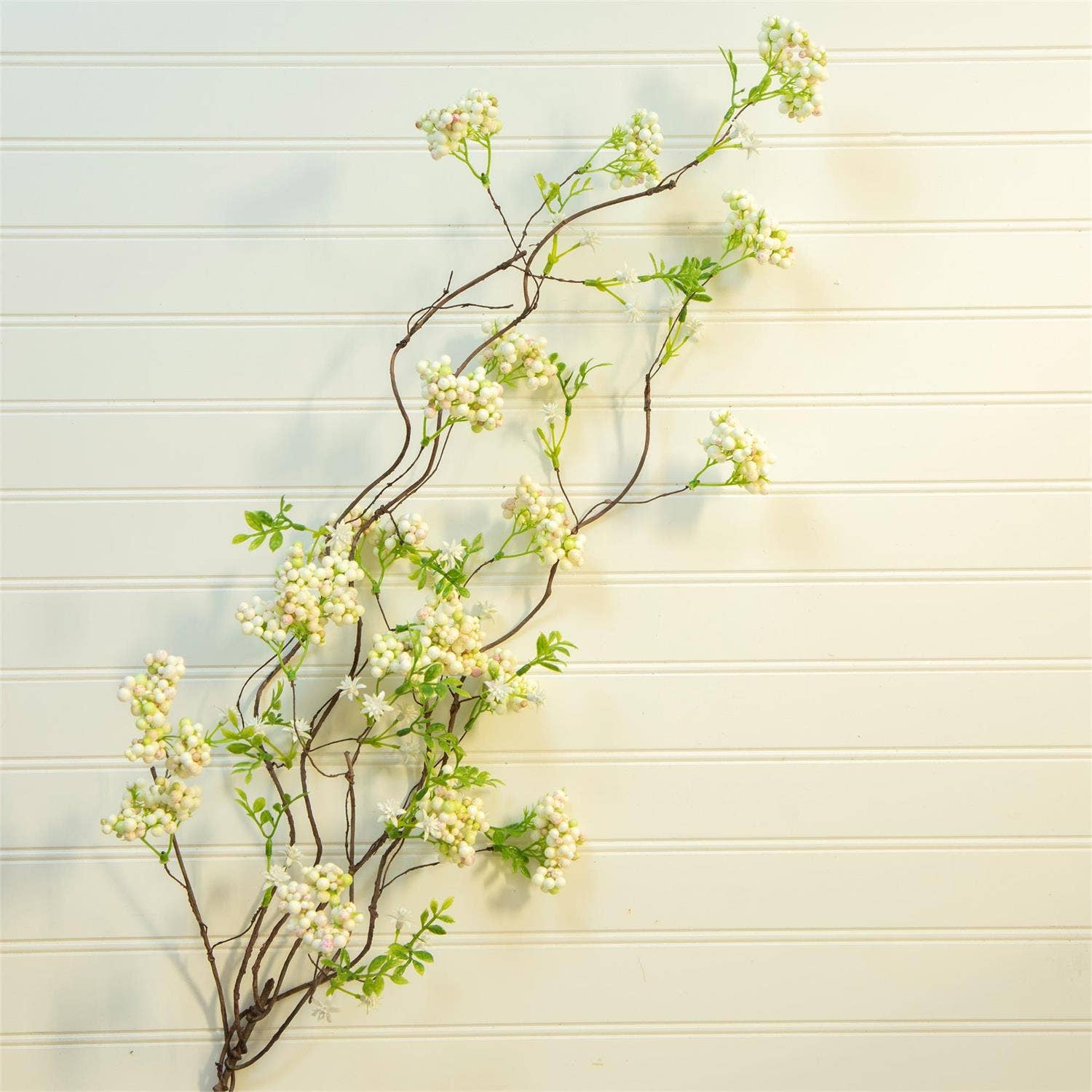 Arabian Jasmine Branch