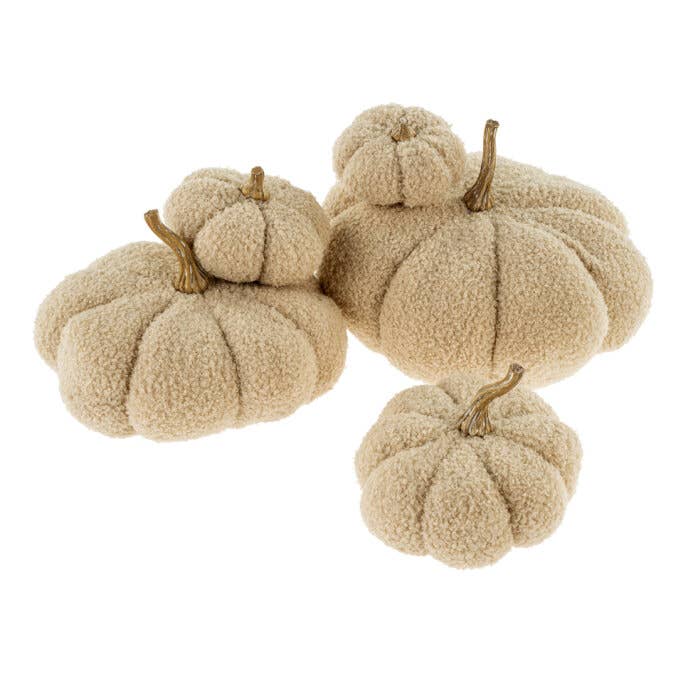 Boucle Pumpkin XS