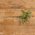 16" Mountain Laurel with White Berry Pick - Faux Plant Decor