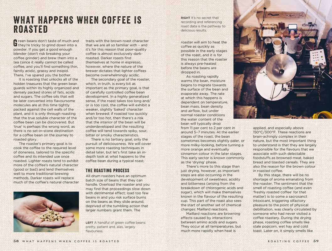 Curious Barista's Guide to Coffee