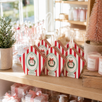 Christmas Bath Bomb Gift Set
