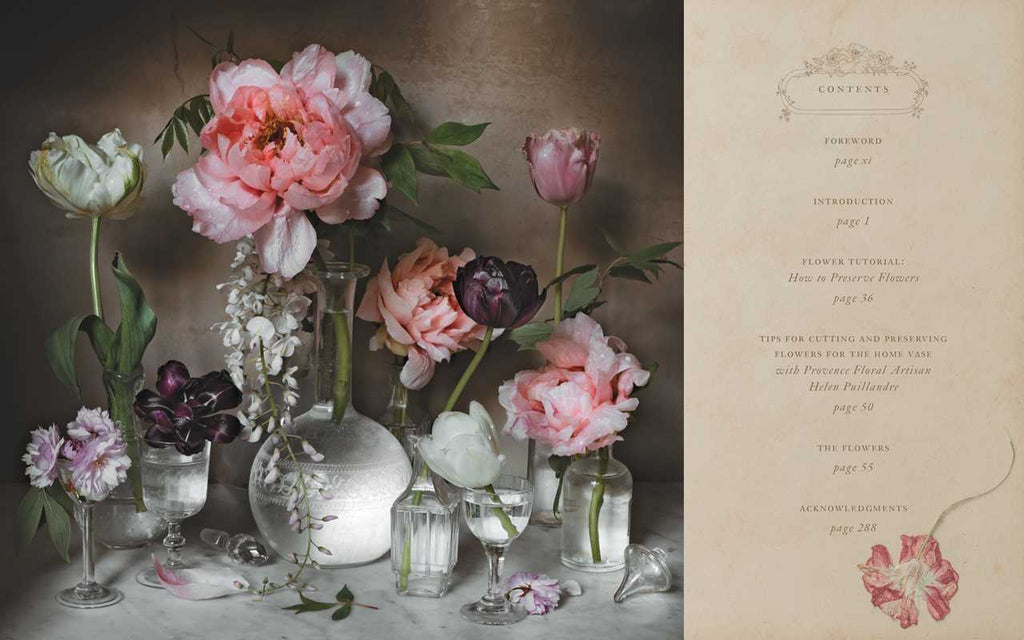 Flowers of Provence