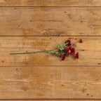 21" Burgundy Daisy Spray