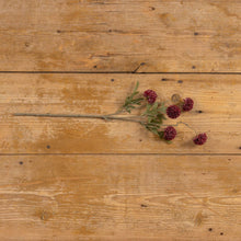 21" Dark Red Onion Spray