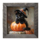 Black Kitten with Pumpkin