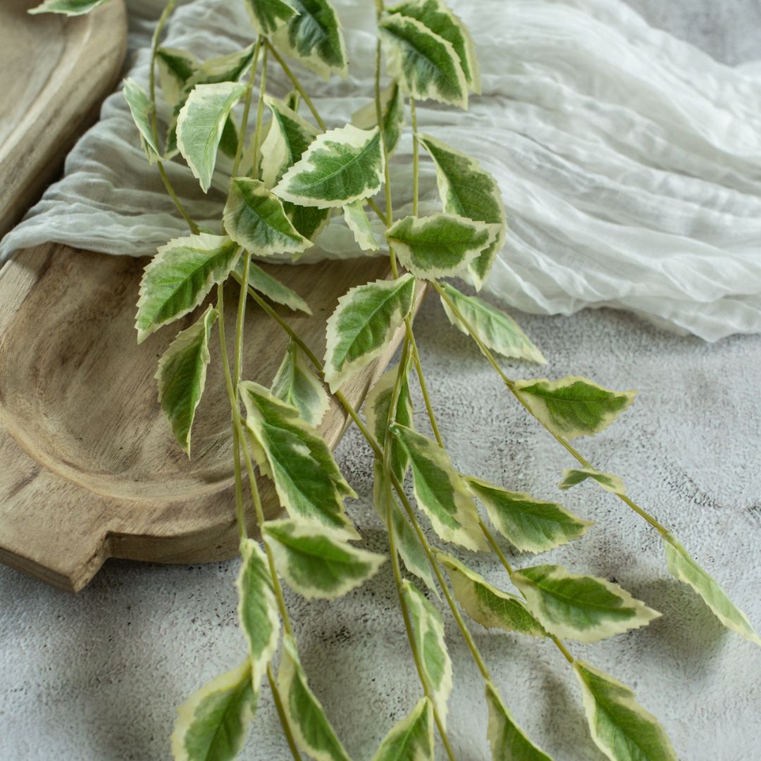 pothos decor 24" Pothos Leaf Vine