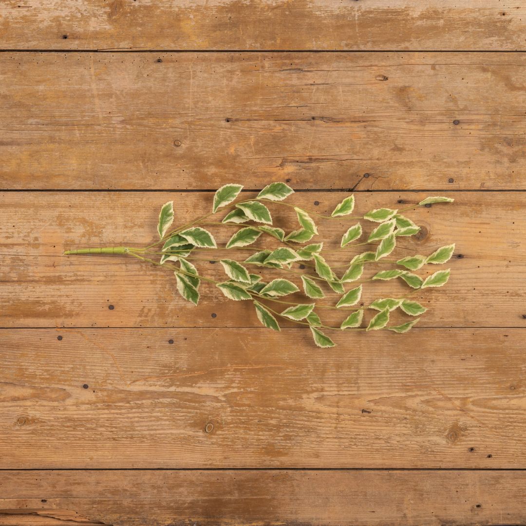 24" Pothos Leaf Vine - Faux Plant Decor