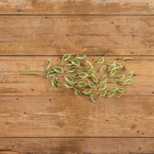 24" Pothos Leaf Vine - Faux Plant Decor
