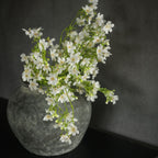 25.5" White Winter Daphne Spray