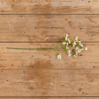 25.5" White Winter Daphne Spray