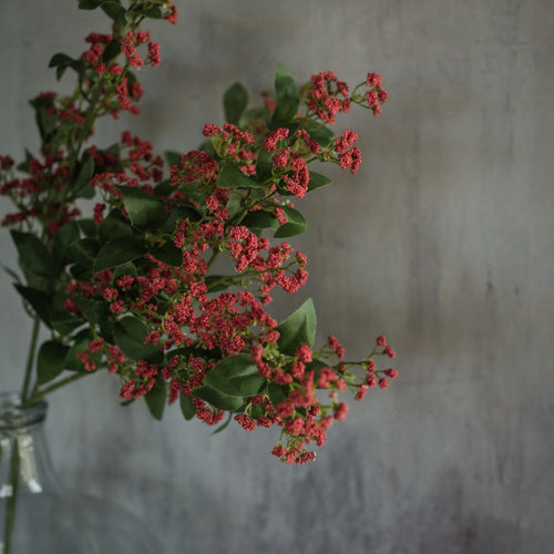 27.5" Red Baby's Breath Spray
