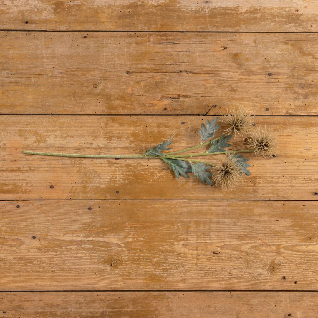 27" Dusty Brown Spider Mum Spray