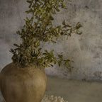 28.5" Olive Green Oncidium Orchid Spray