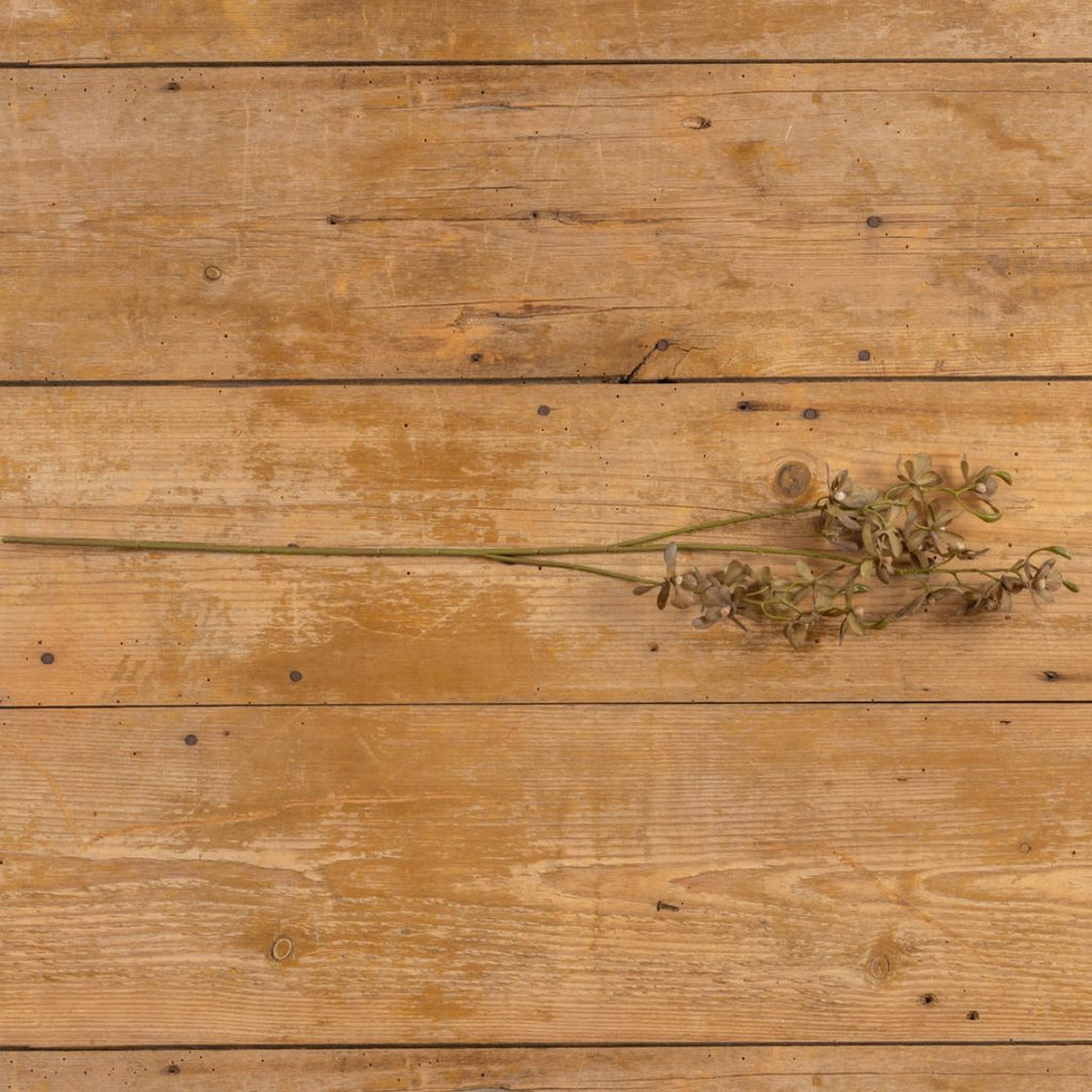 28.5" Olive Green Oncidium Orchid Spray