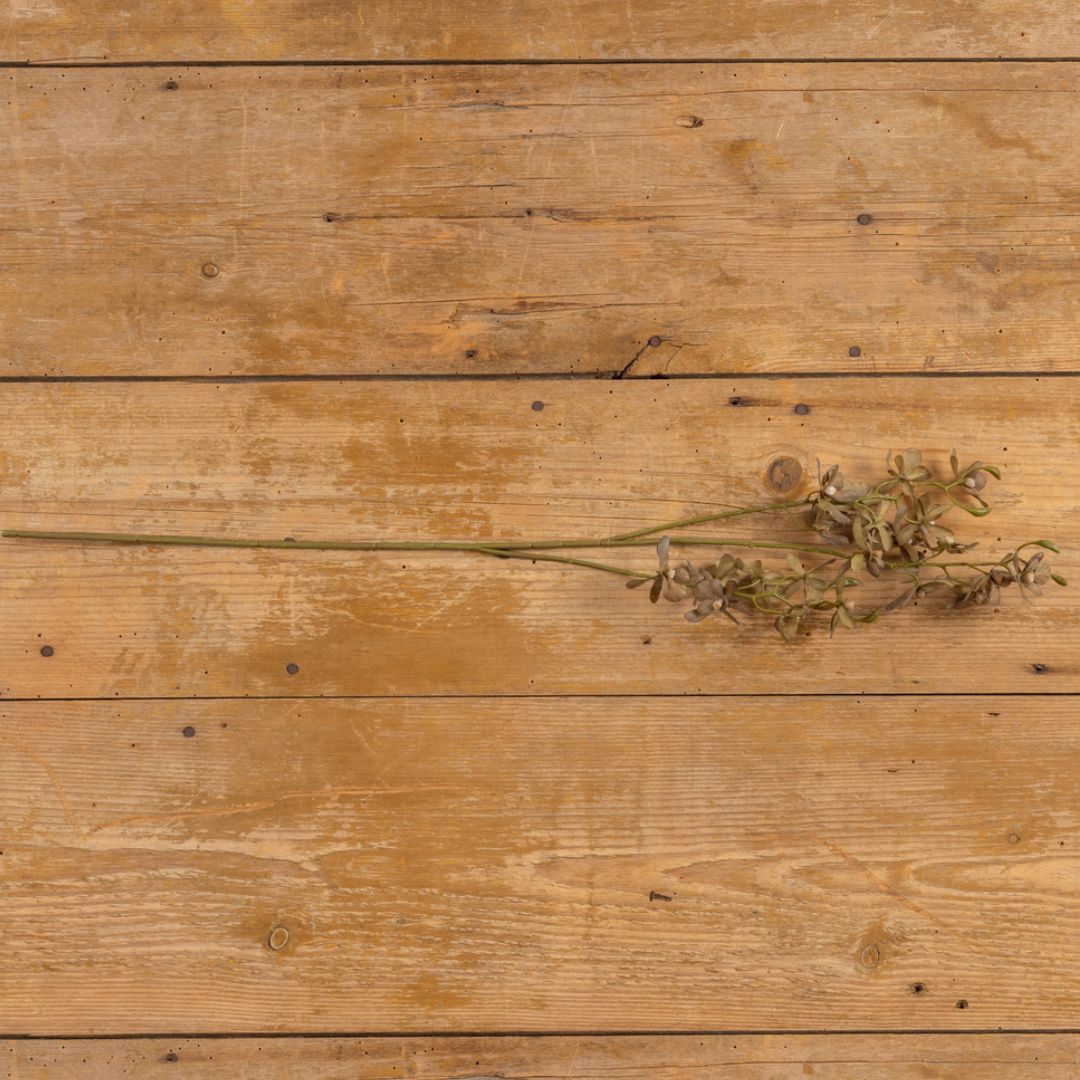 28.5" Olive Green Oncidium Orchid Spray