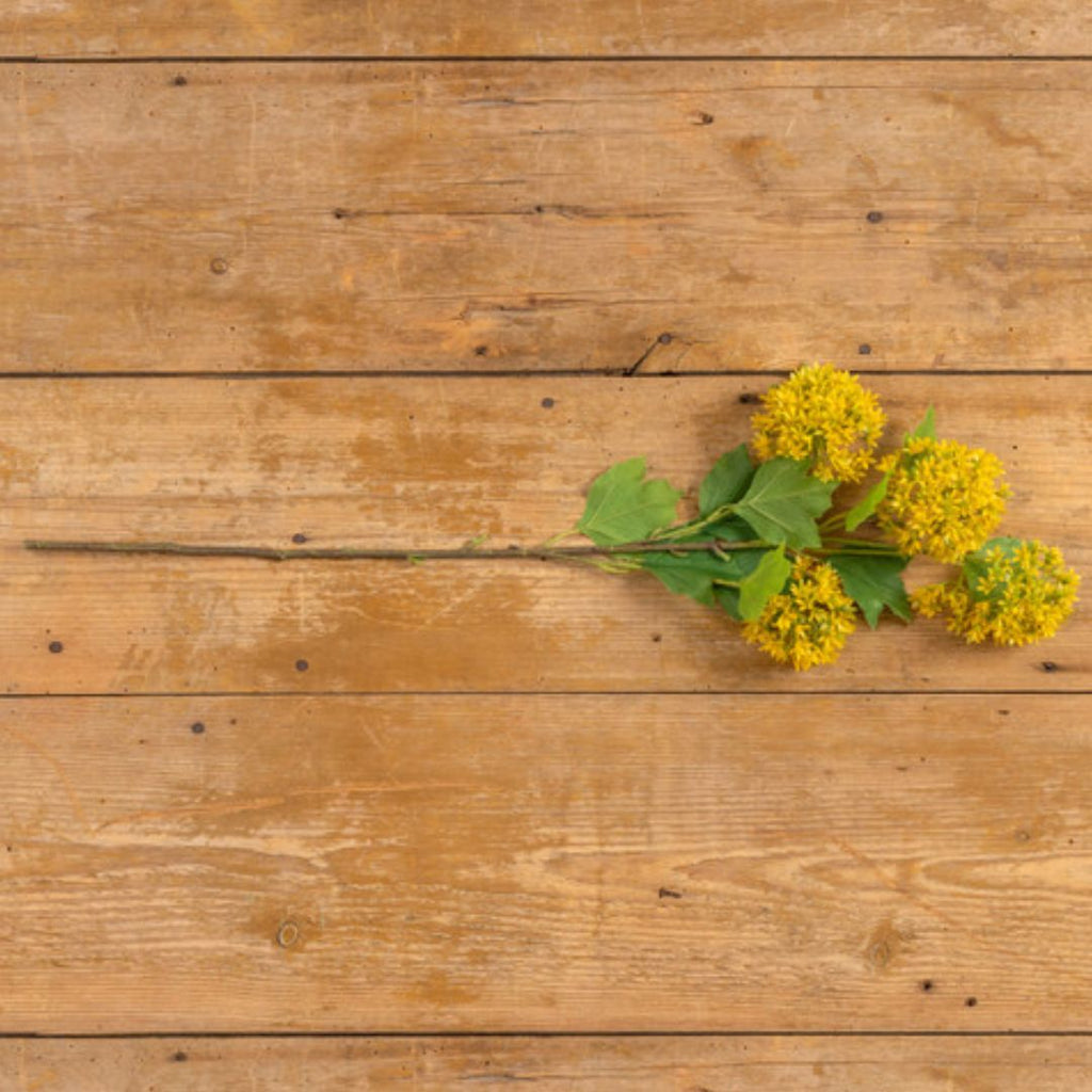 29" Yellow Snowball Spray