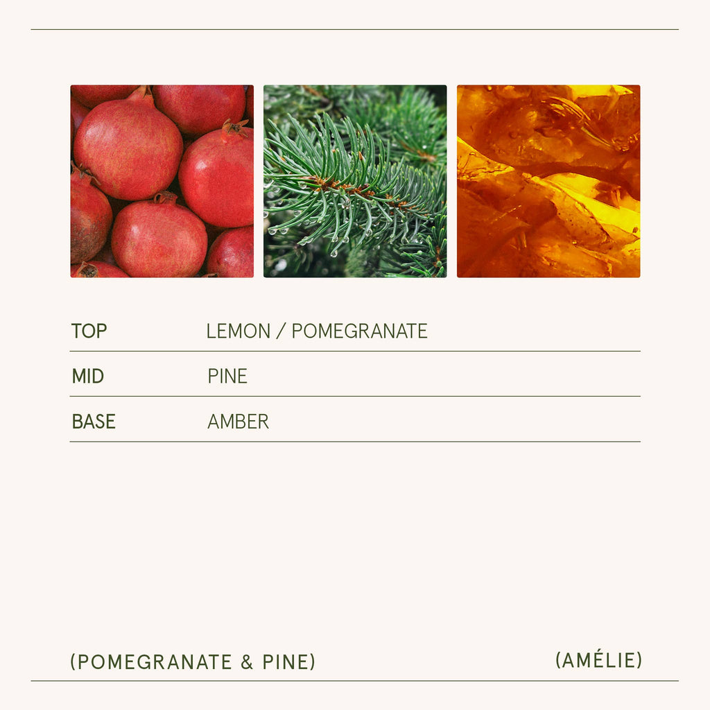 Pomegranate & Pine 11oz