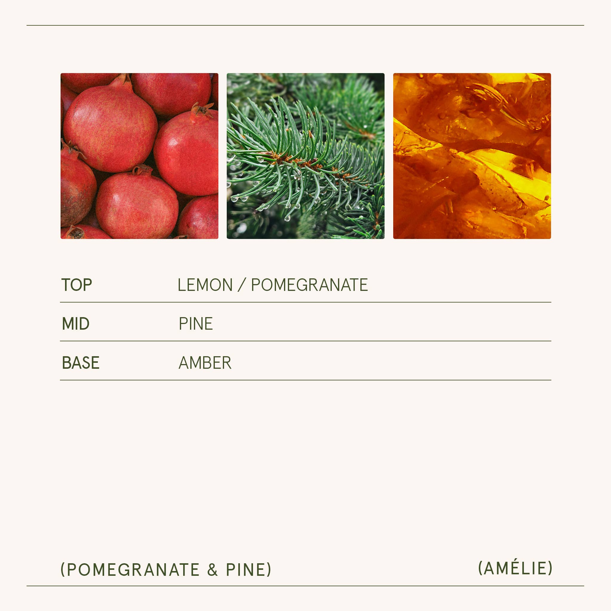 Pomegranate & Pine - 19oz